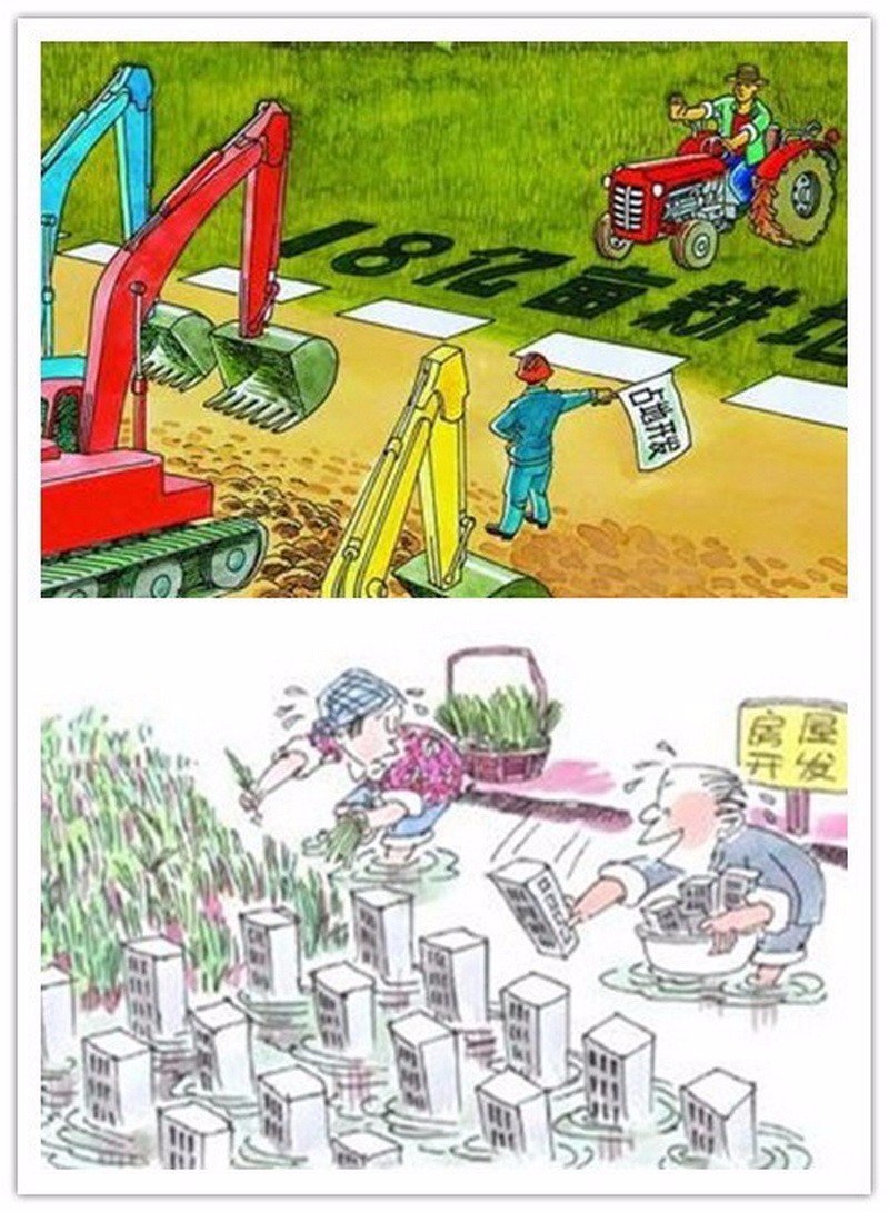 消失的土壤——土壤侵蚀3