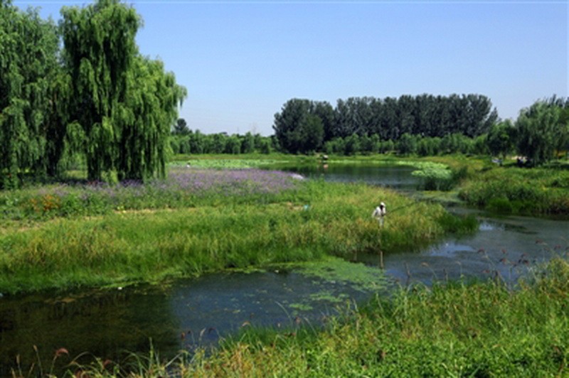 “地球之肾”成动物乐园1