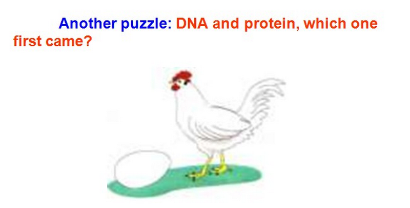 浅谈生命的起源-----从米勒实验说起3