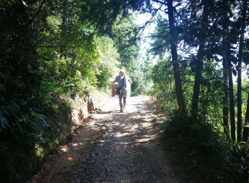 株洲市第三次国土调查“回头看”工作全面推进3