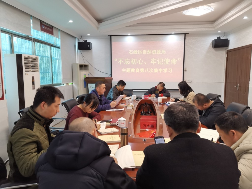 石峰区局:组织开展“不忘初心 牢记使命”主题教育第八次集中学习1