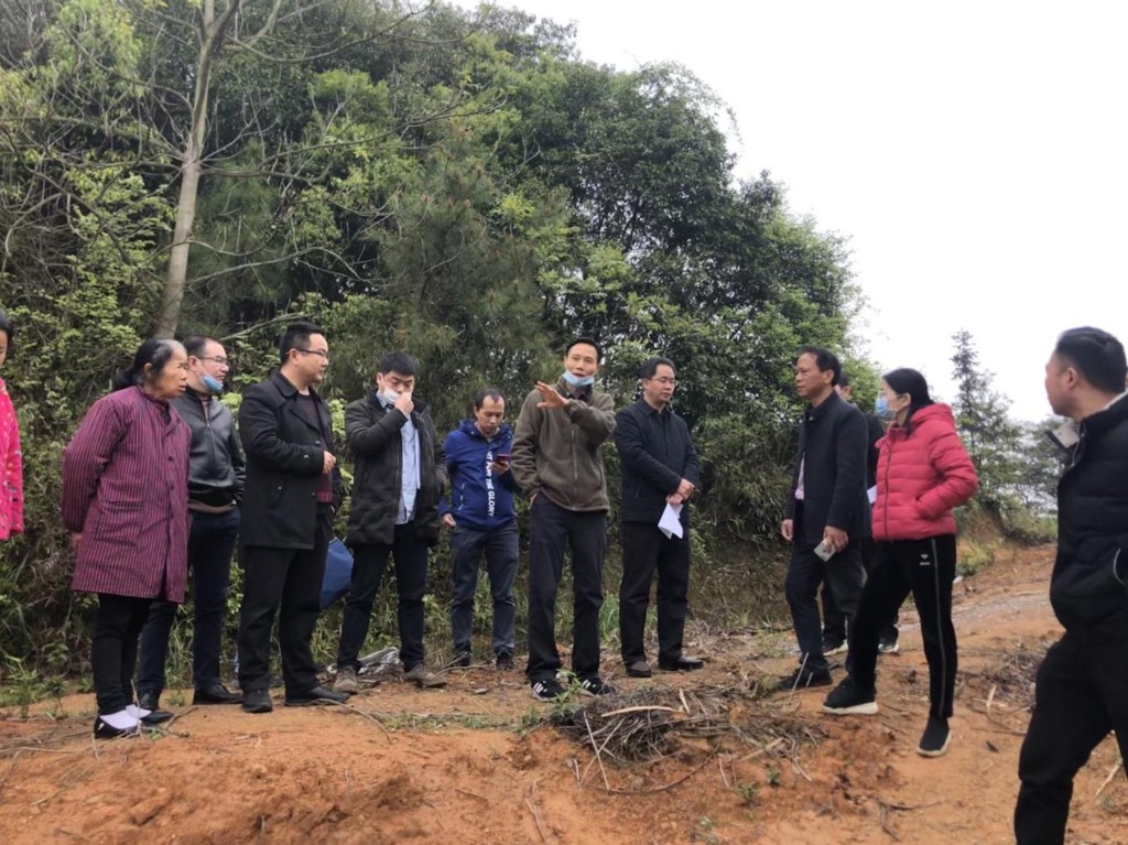 醴陵市局:株洲市自然资源和规划局来醴督查地灾防治工作