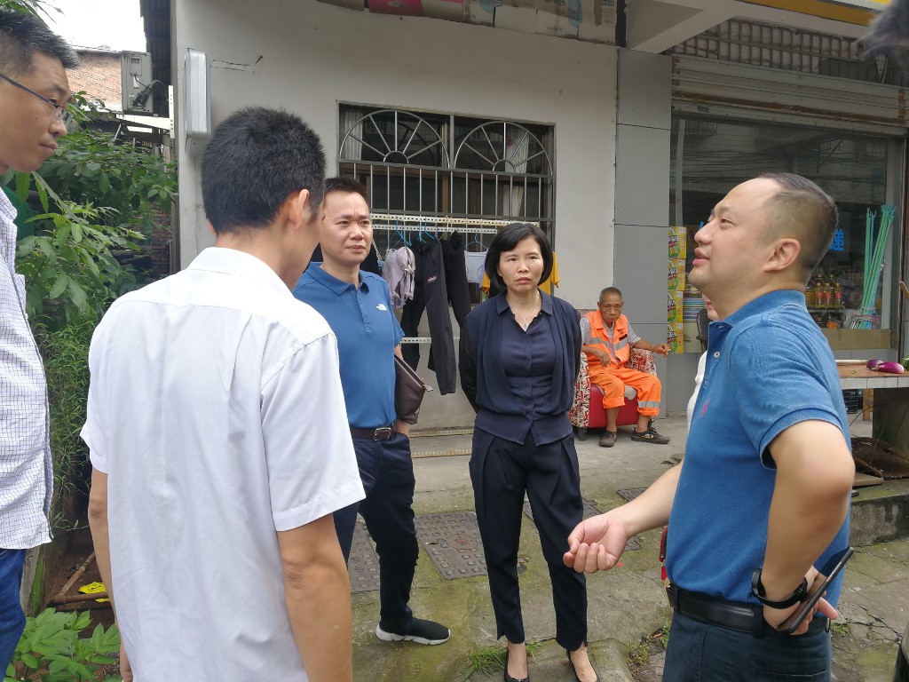 巫智敏带队巡查芦淞区汛期地灾防治工作1