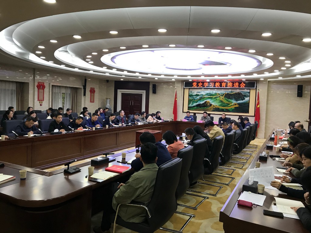株洲市自然资源和规划局召开党史学习教育推进会1