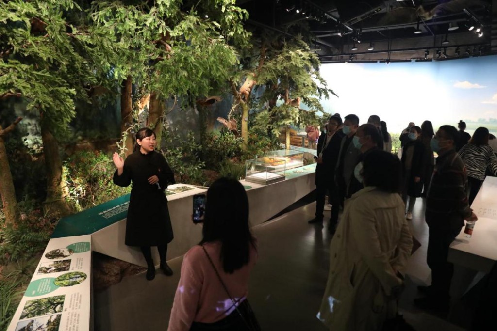 株洲市自然资源和规划局世界地球日系列活动——“走进株洲市博物馆”3