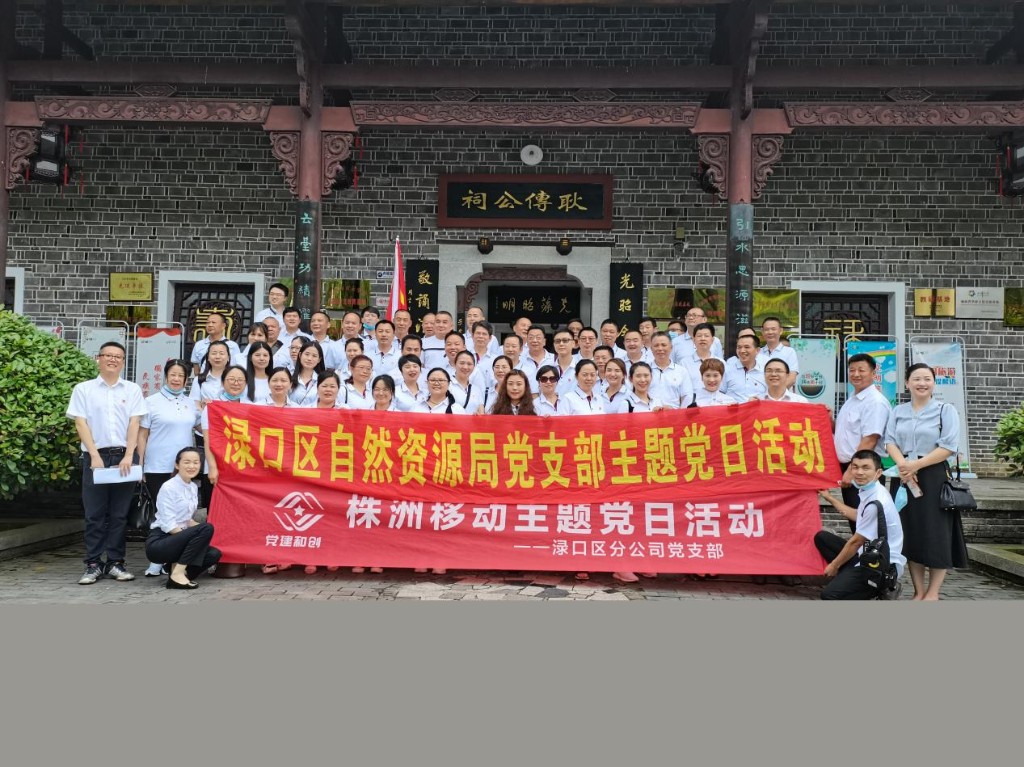 渌口区:党建和创学党史,凝心聚力促发展1